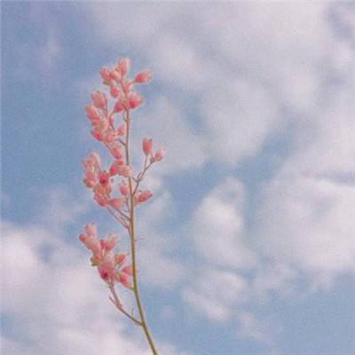 500余名学生同场竞技 开启一场机器人大比拼