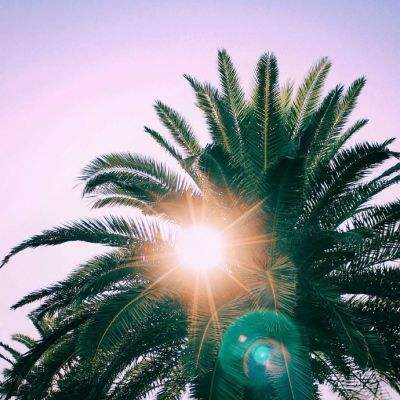 pp体育官网入口