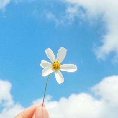 高效化解塑窗质量引发的纠纷