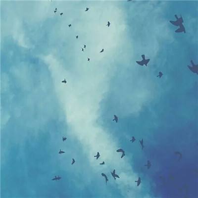 印度政府：加拿大与印度同意重启贸易谈判