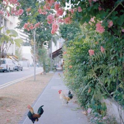 pp体育官网入口