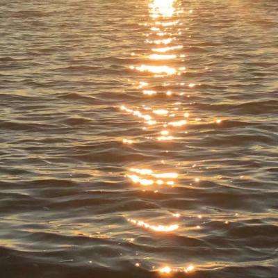 od体育安卓版下载