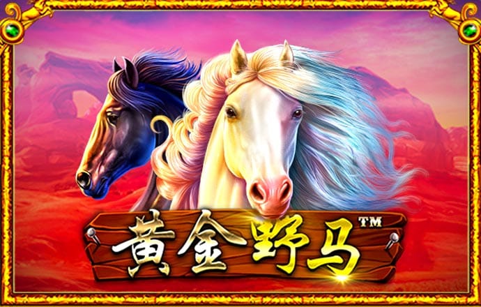 9479威尼斯截图3